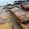 GeoPark (58)